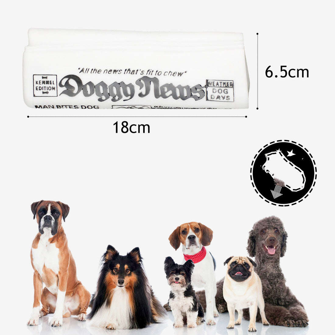 Squeaky Pet Dog Toy Newspaper Chew