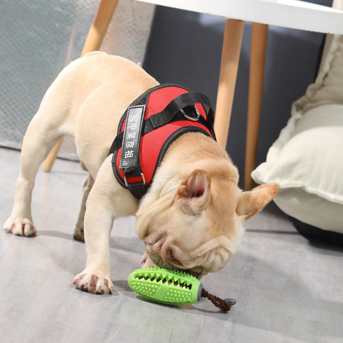 Ultimate Pet Biting Toy - Safe, Durable & Fun!