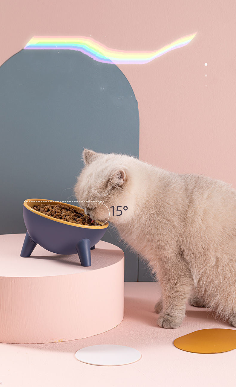 Cat Dog Bowl Pet Feeding Food Bowls