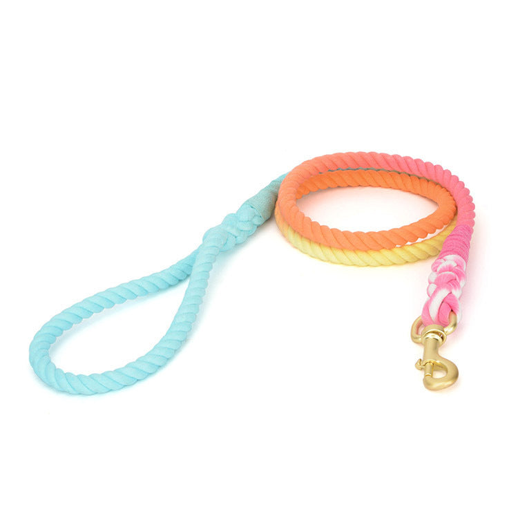 Color Pet Traction Gradient Rainbow