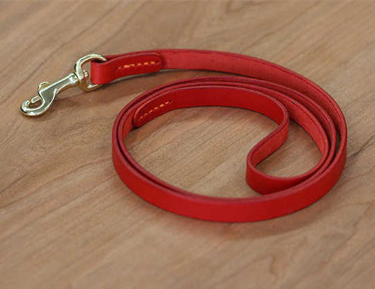 Leather Red Blue Green Pet Traction Strap