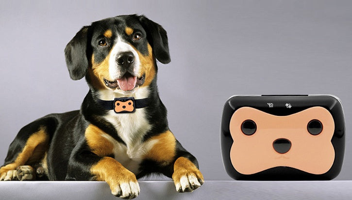 Pet Locator Smart HP01 Cross-Border Mini Pet Tailored Length Adjustable GPS Locator