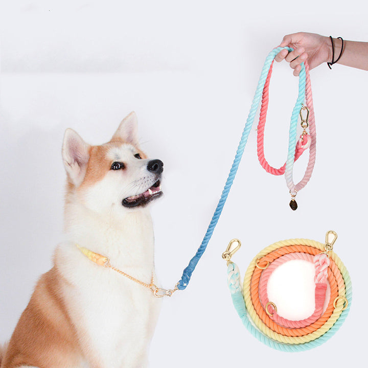 Color Pet Traction Gradient Rainbow