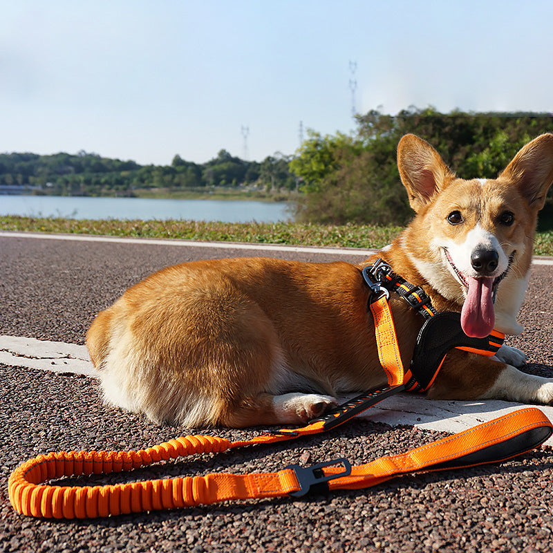 Pet Holding Rope Buffer Reflective Traction Belt