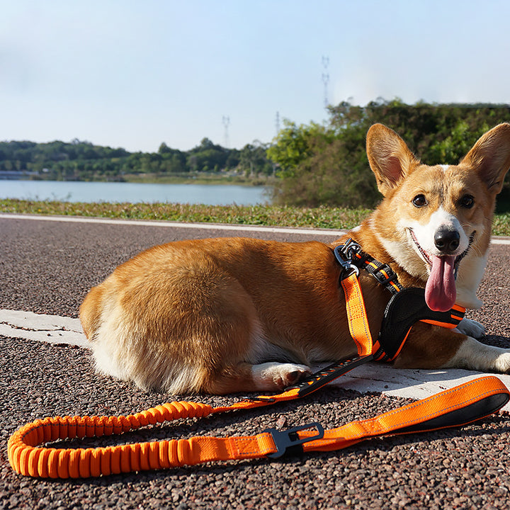 Pet Holding Rope Buffer Reflective Traction Belt