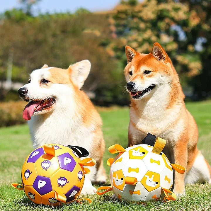 Dog Interactive Football Toys Soccer