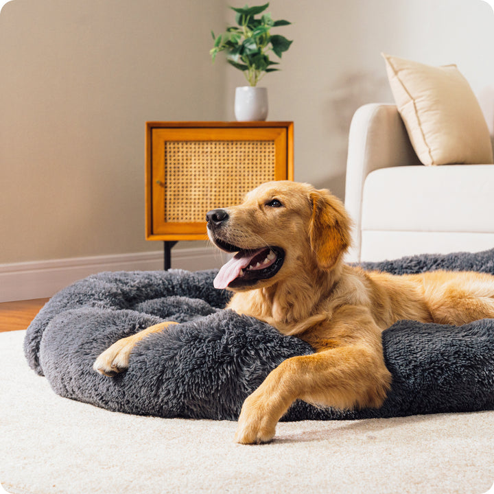 Fluffy Dog Bed for rest