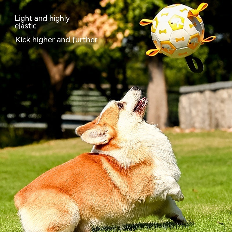 Dog Interactive Football Toys Soccer